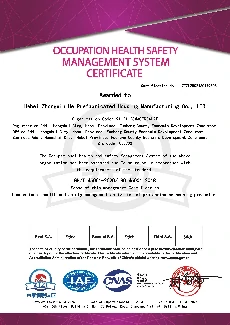 ISO 45001 Occupational Health and Safety Certificate